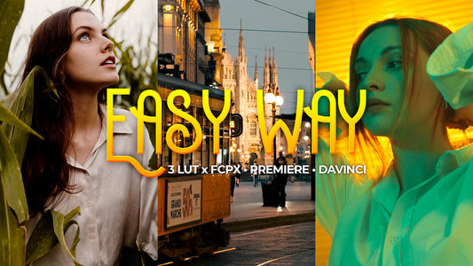 EASY WAY | LUT for VIDEO