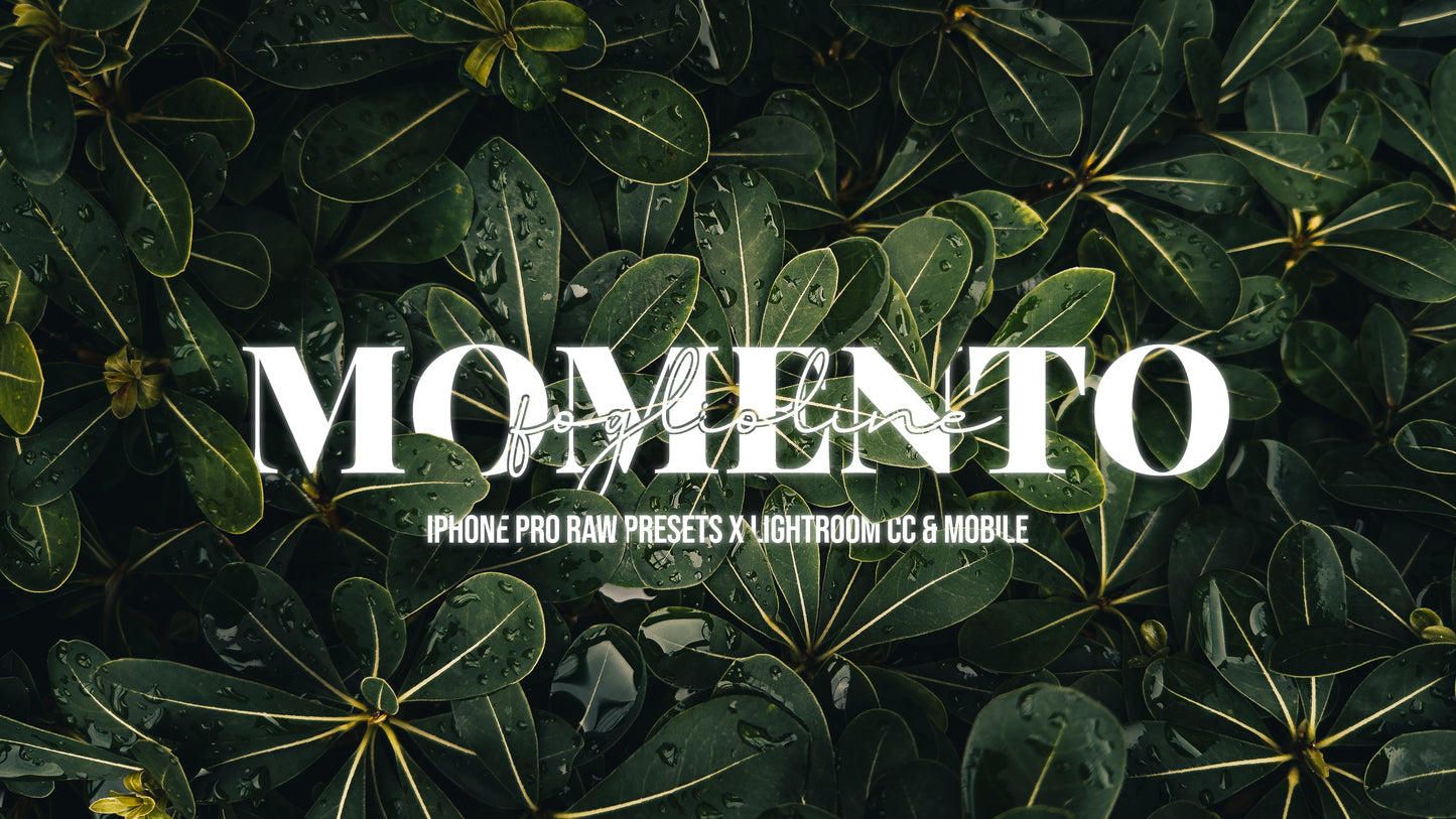 Momento Foglioline | Lightroom's presets
