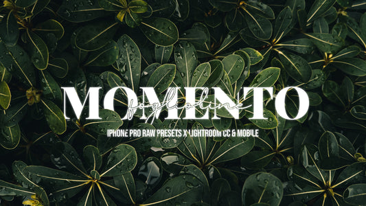 Momento Foglioline | Lightroom's presets