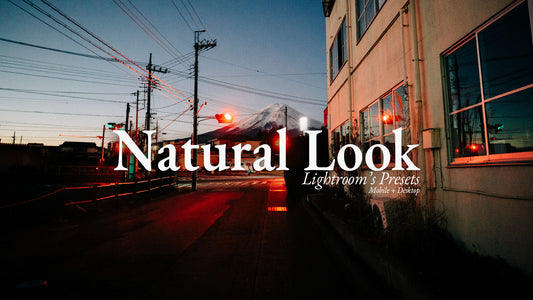 NATURAL LOOK | Lightroom's Presets
